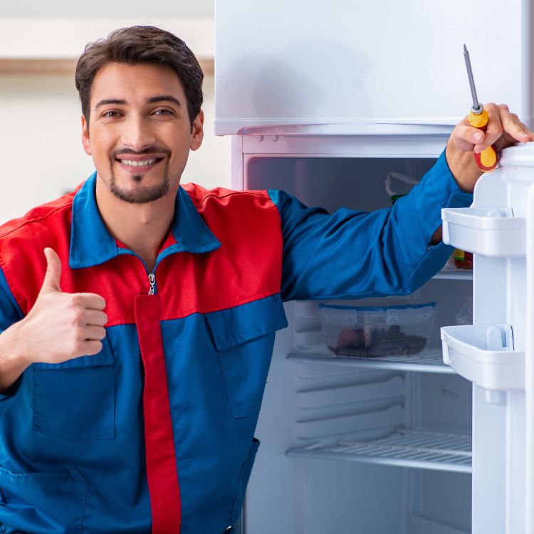 Refrigerator and freezer repair